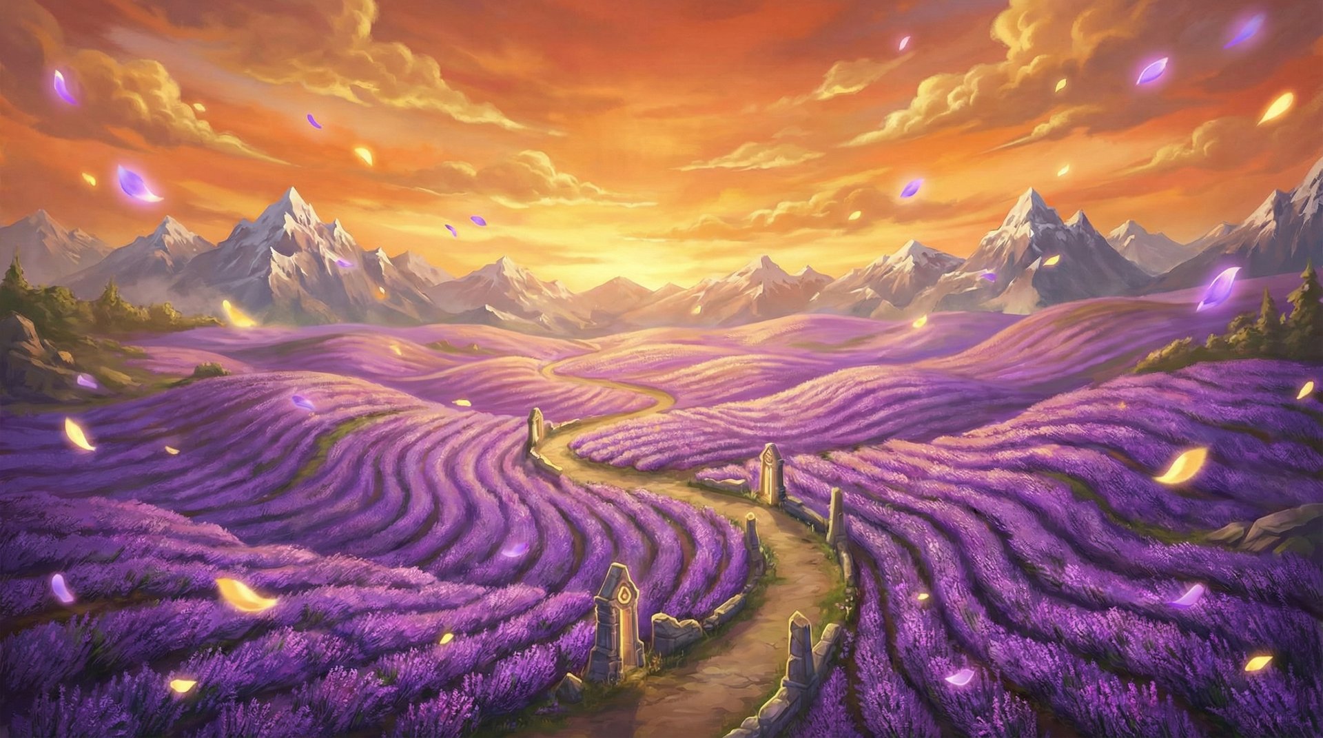 91薰衣草花海航拍植物视频